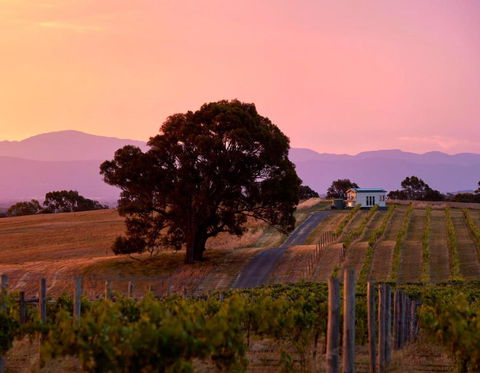 Hounds Run Vineyard - Tiny House In The Grampians - Accommodation Directory 0