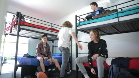 Alpine Sports Lodge - Accommodation Directory 0