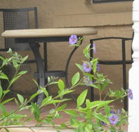 Amalie Cottage Waikerie - Accommodation Directory