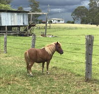 AMs Farm Stay - Accommodation Directory