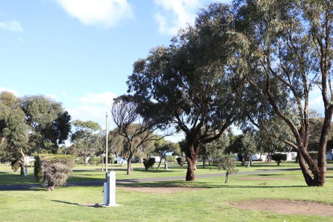 Anglesea Family Caravan Park - Accommodation Directory 1