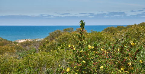 API Preston Beach Front Apartments - Accommodation Directory 2