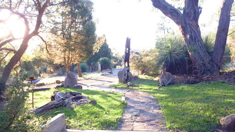 Aquila Eco Lodges - Accommodation Directory 3