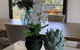 Luxury Overlooking The Yarra - 01663 - thumb 1