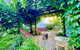 Mimosa House - thumb 2