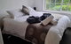 Orchard 2 Bedroom Apartment In Devonport - thumb 3