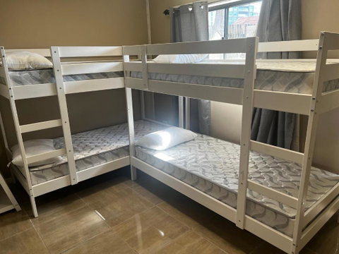 Palm Backpackers - Accommodation Directory 0