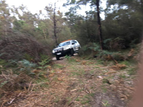 PNL4WDriving Bairnsdale Hub - Accommodation Directory 0
