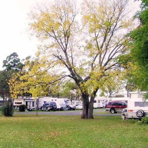 Poplar Tourist Park - Accommodation Directory 2