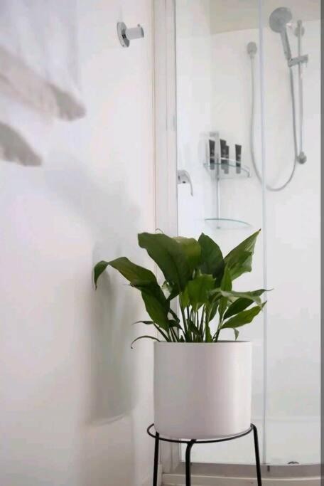 Poppies Retreat - Accommodation Directory 2