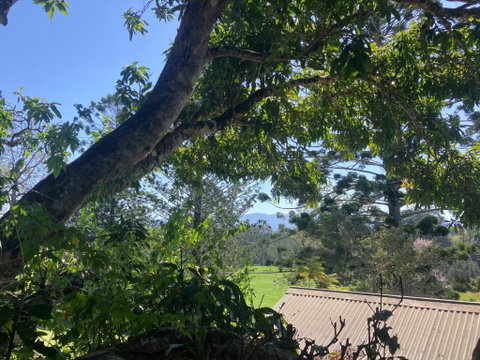 Potters Cottage - Accommodation Directory 3