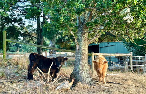 Private, Secluded Farm Retreat - Accommodation Directory 3