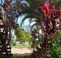 Asylum Cairns Hostel - Accommodation Directory