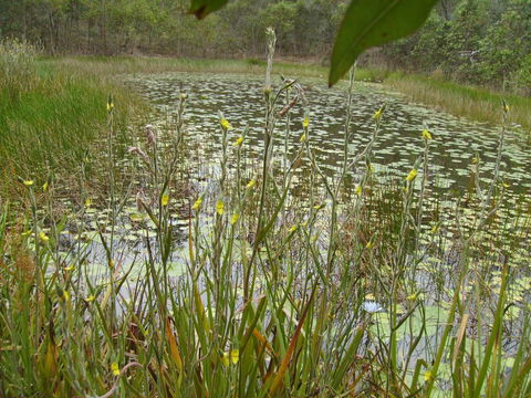 Back To The Bush - Accommodation Directory 3