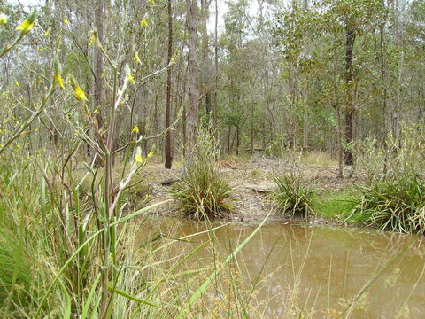Back To The Bush - Accommodation Directory 2