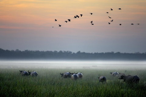 Bamurru Plains - Accommodation Directory 0
