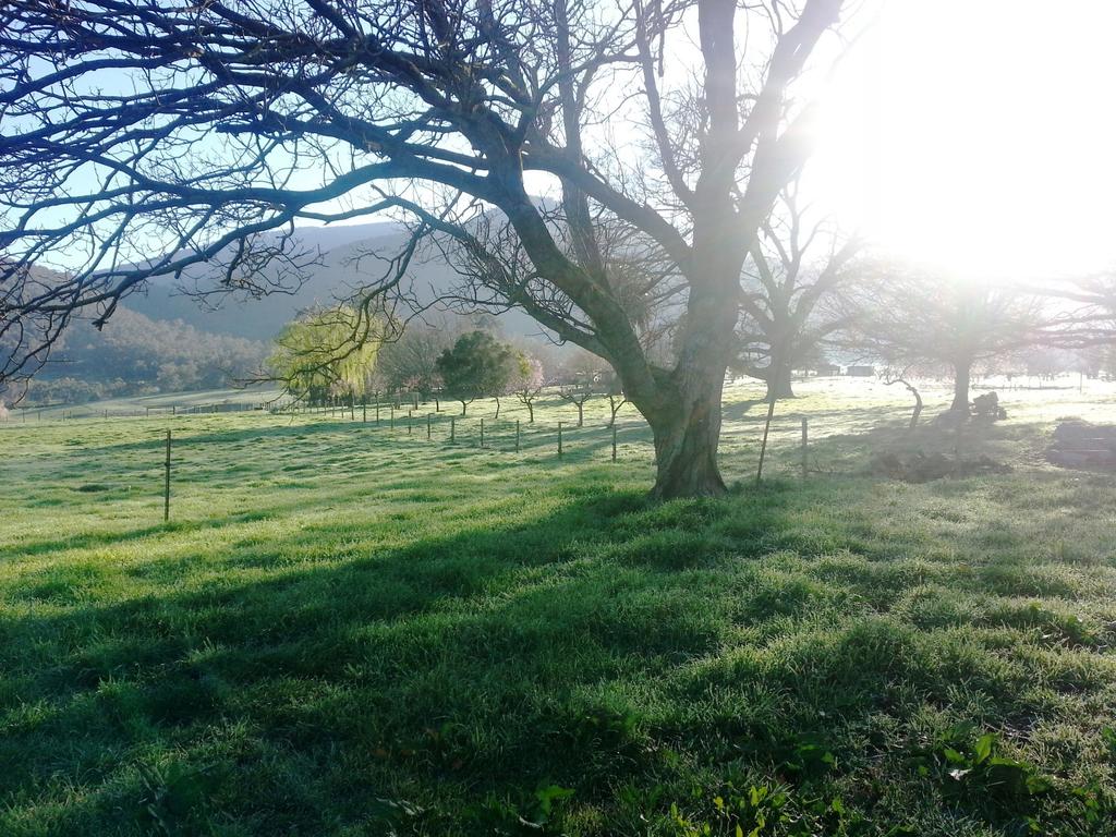 Dederang VIC Accommodation Directory