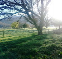 Bay Creek Guest House - Accommodation Directory