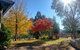 Riverbend Homestead - thumb 1