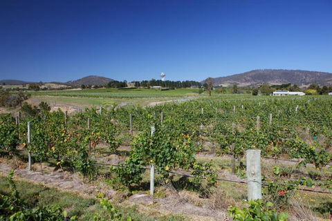 Riversdale Estate Cottages - Accommodation Directory 1