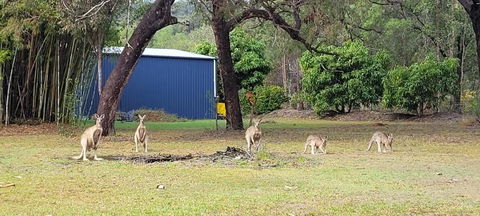 Roo Or 2 On Streeter - Accommodation Directory 0
