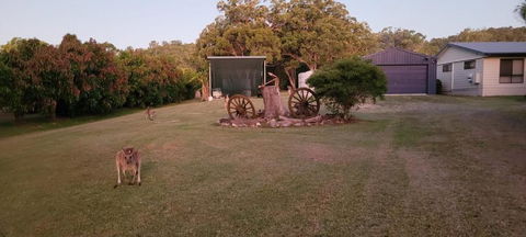 Roo Or 2 On Streeter - Accommodation Directory 1