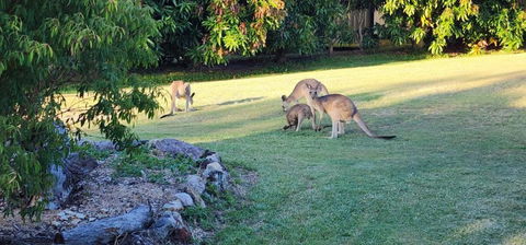 Roo Or 2 On Streeter - Accommodation Directory 3