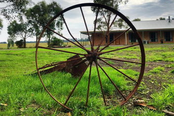 Ruby Rose with Accommodation Directory