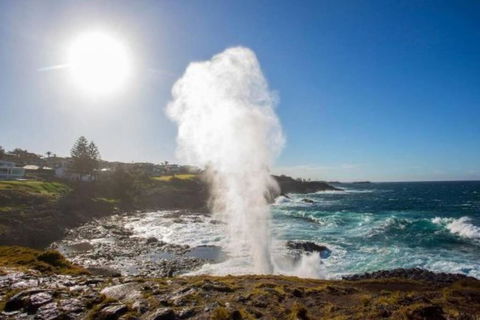 SALTY SOUL KIAMA - Tiny House By The Ocean - Accommodation Directory 3