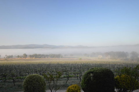 Sancerre Estate - Accommodation Directory 3