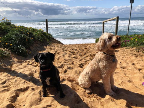 Sanctuary Retreat - Accommodation Directory 2
