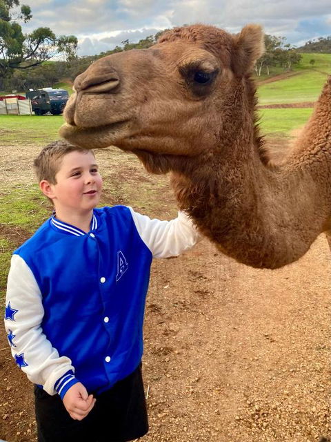 Sandalwood Downs Fabulous Farm Stay TOODYAY - Accommodation Directory 1