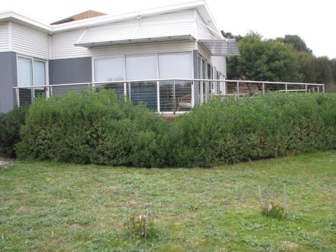 Sandbar Beach House - Accommodation Directory 3