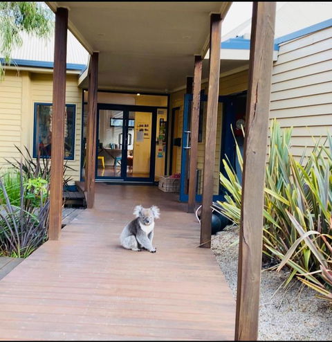 Sandpiper Motel Apollo Bay - Accommodation Directory 3