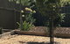 Beatty Cottage - thumb 2