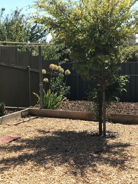 Beatty Cottage - Accommodation Directory 2
