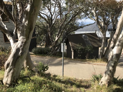 Beehive 18 - Accommodation Directory 1