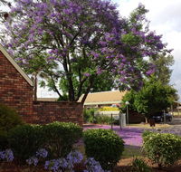 Belvoir Village Motel  Apartments Wodonga - Accommodation Directory