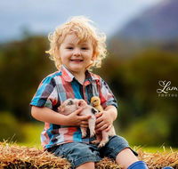 Blackwattle Farm - Accommodation Directory
