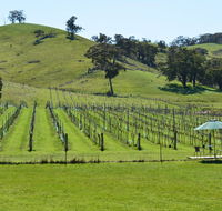 Blue House at Mountainside Wines - Accommodation Directory