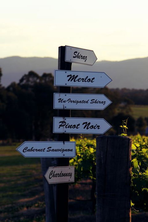 Blueberry Hill Vineyard Villa - Accommodation Directory 3