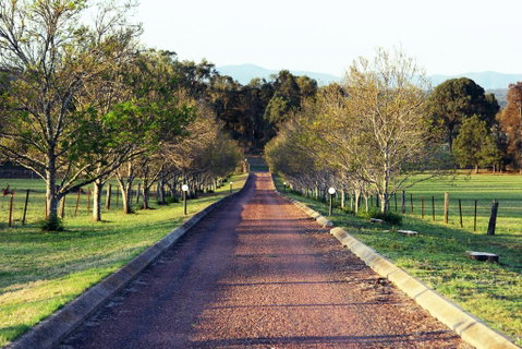 Blueberry Hill Vineyard Villa - Accommodation Directory 0