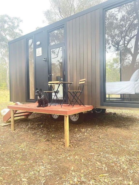 Whispering Wallaby By Tiny Away - Accommodation Directory 1