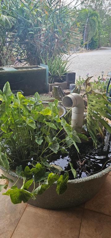 Almost Off Grid Tranquillity - Accommodation Directory 4