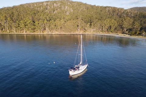 Twilight Sail Bruny Island - Accommodation Directory 3