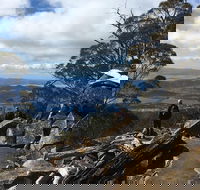 kunanyi / Mt Wellington Explorer Bus - 2 Hour Return Tour - Accommodation Directory