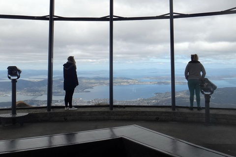 Kunanyi / Mt Wellington Explorer Bus - 2 Hour Return Tour - Accommodation Directory 1