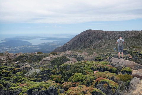 Kunanyi / Mt Wellington Explorer Bus - 2 Hour Return Tour - Accommodation Directory 3