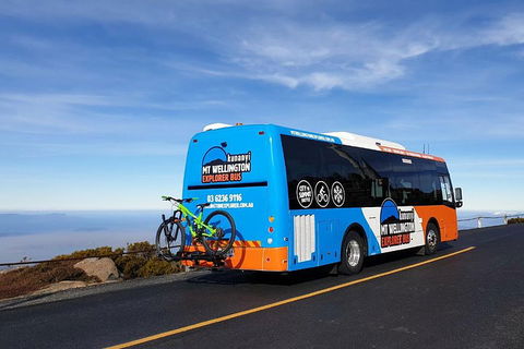 Kunanyi / Mt Wellington Explorer Bus - 2 Hour Return Tour - Accommodation Directory 4