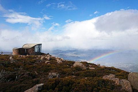 Kunanyi / Mt Wellington Explorer Bus - 2 Hour Return Tour - Accommodation Directory 5